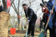 日中友好の桜の植樹式、日本側招かれず　担当者の態度に感じた難しさ