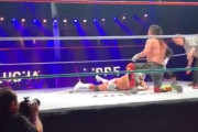 試合中のプロレスラー「アカン、死にそう…」相手「ちゃんと動けや！」蹴り入れﾄﾞﾝ！→死亡