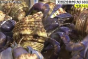 【沖縄】天然記念物のヤドカリ680匹「食べるために取った」中国人の男女２人を逮捕