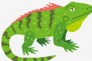 X民さん「飼ってるイグアナが卵産んだから食べる」