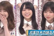 【日向坂46】ソウゾウ脳が無さそうなメンバーの言い分www