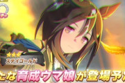 【朗報】ウマ娘のステイゴールドちゃん明らかに力が入っている！！【セルラン5位】
