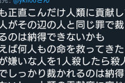 【画像】Twitter女さん、トンデモ理論で飯塚幸三を擁護するｗｗｗ
