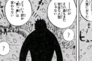 チョッパーが食った悪魔の実、明らかにおかしい