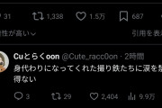 【悲報】「ぬい活」、撮り鉄と同じくらい嫌われていた．．．