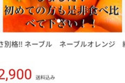ワイ､果物はメルカリで農家から直接買うほうがお得だと気付く