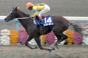 スポーツ由来の馬名