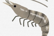 エビカニって魚の仲間ぶってるけど普通に虫の仲間だろ