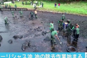 【モーリシャス】商船三井運航の貨物船が座礁し流出させた大量の重油、撤去作業始まるも海岸一帯が埋め尽くされ作業は難航