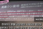 韓国人「桜、明太子、着物、黒牛、和傘、うどん、は韓国起源」→「味噌醤油は韓国固有の味付け、刺身も韓国が先に食べていた」　韓国の反応