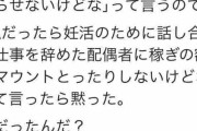 夫「俺だったら配偶者が稼いでたら家事やらせない」私「私ならマウント取らない」夫は黙った