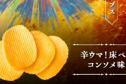【朗報】FF14×ポテトチップス第二弾、発売決定！なんと『床ペロ味』ｗｗｗｗ