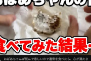 【悲報】女性YouTuber、おばあちゃんの遺骨を友達に食べさせてしまう （※閲覧注意）