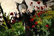 【FF14】ララフェルは「ケモ耳」or「袴装備」を着ておけば安定みたいな風潮ｗｗｗｗｗｗ