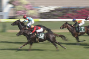 【競馬/葵S】ディアンドル　５連勝　なお騎手は全て違う