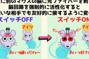 【速報】マウスの脳に光ファイバーを差し込むことで友好度を操作できる研究、成功してしまう