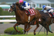 なんでマイラーのダイワメジャーって2回も有馬記念出たの？