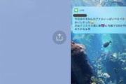 【悲報】夫さん、嬢へのLINEを嫁に誤爆しTwitterに暴露されてしまうｗｗｗｗ