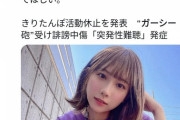 【画像】国会議員ガーシー、YouTuberきりたんぽのキス動画を晒して引退に追い込む初仕事