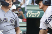プロスカウトに聞いた佐々木麟太郎ら高校生野手の本当の評価