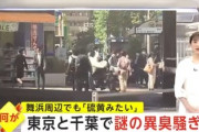 【関東異臭騒ぎ発生】地理学専門家「地殻変動の可能性」陰謀論じゃなくてガチ