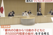 小池都知事が少子化の原因を分析「国のスピード感では間に合わない」