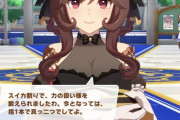 【ウマ娘】ジェンティルドンナ、分厚い