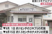 【熊本】給食のご飯にゴキブリとナメクジの死骸が混入しているのを配膳中の児童が見つける