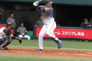 【朗報】阪神井上また同点タイムリーｗｗｗｗｗｗｗｗｗｗｗｗｗｗｗｗｗｗｗｗｗ
