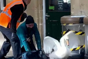 イギリスでは白鳥は王室扱い。駅に進入した2羽の白鳥を追い出すのに悪戦苦闘する駅員たち