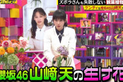 櫻坂46山﨑天、花瓶を使わない生け花を制作！【日曜日の初耳学】