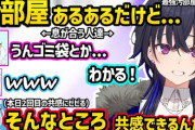 【Vtuber】自分のと似た汚部屋を見つけるのせさんや、汚部屋の意外な所で共感し合う一ノ瀬うるはと健屋花那にビビる犬山たまきｗｗ