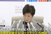 小池がカタカナ語しゃべる度に壁ドンしてるんだが