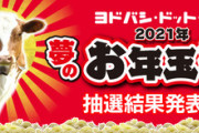 ヨドバシカメラ､福袋｢夢のお年玉箱2021｣の抽選結果を発表