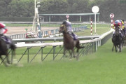 陸上の中長距離で伏兵が勝つ事はほぼ無いけど、競馬だとしょっちゅうなのは何故？
