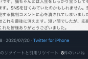 【速報】毛並みフサフサの捨て猫を拾ったYouTuberさん、速攻で謝罪&引退へ