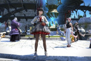 【FF14】FCの超低火力himechan、忍者でヒラ以下の火力な上にボス単体に延々と土遁を出す超絶プレイで姫騎士団を魅了する「ルレには野良で行ってる」