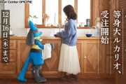 【朗報】等身大ルカリオさん、受注開始ｗｗｗｗｗｗｗｗｗｗｗｗｗ