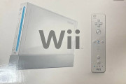 今思えば、Wiiは凡ゲーや佳作が多かったけどクソゲーはなかったよね？？
