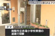 クマ、小学校の来賓用玄関のガラスを割る　臨時休校に