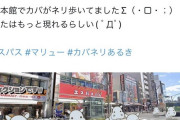 「カバがネリ歩いていた」←この店のグラフやデータが開示される。クッソ微妙でワロタ