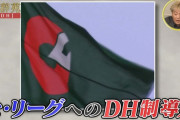DHなしの野球、NPBセ・高校野球・東京六大学くらいしかなくなるwwwwnwww