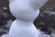 ワイの作った雪だるまどう思う？