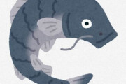 アジアを代表する魚『鯉』さん、ガチで強すぎる…