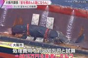 【速報】異様な高額クジラ処理業者と大阪市課長の会食発覚「処理費アップを進言」試算の倍以上の8000万円に