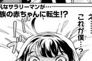 【転生】なんだよこの漫画ｗｗｗ【注意】