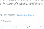 【悲報】元潤羽るしあ「涙が止まらない」「もう何もかも嫌だ」「こんな世の中おかしい」