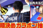 【朗報】ハムのガラポン打順抽選、めちゃくちゃ楽しそう
