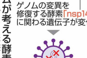 ゲノム変異、修復困難で死滅？　コロナ第5波収束の一因か