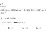 【悲報】女さん「なんで男性の下の毛って至る所に落ちたり張り付いたりするんだ？」→共感の嵐ｗｗｗｗ